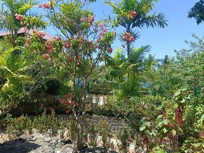 5 Bedroom House In Poblacion Cebu Compostela (Cebu)